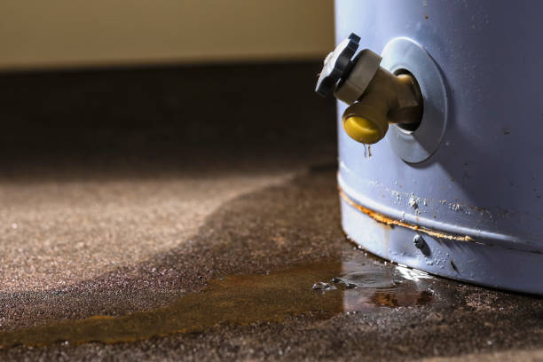 Best Water damage restoration near me  in Churchill, OH