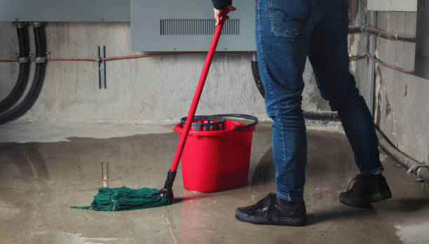 Best Ceiling water damage repair  in Churchill, OH