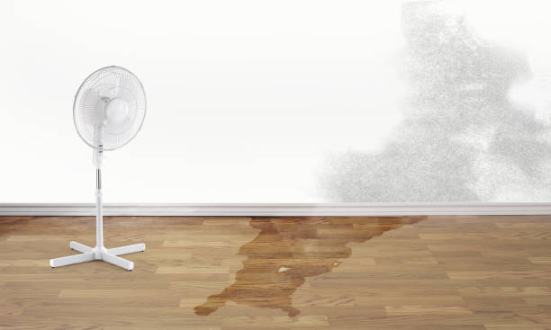 Best 24-hour water damage restoration  in Churchill, OH