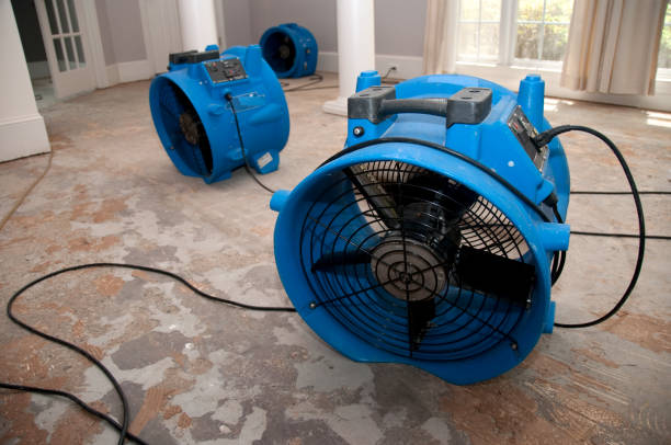 Best Commercial water damage restoration  in Churchill, OH