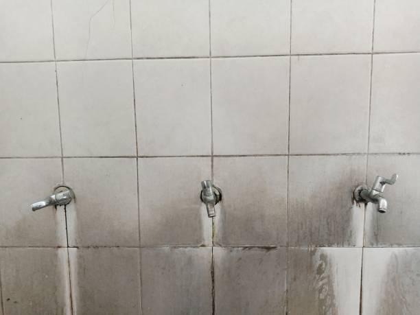 Best Carpet water damage restoration  in Churchill, OH