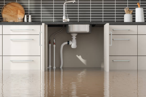  Churchill, OH Water damage restoration Pros