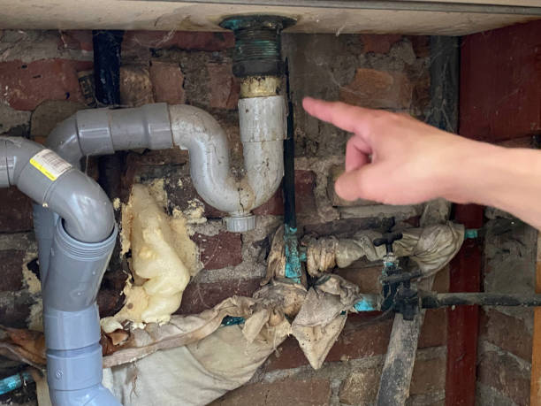 Best Water damage contractors near me  in Churchill, OH